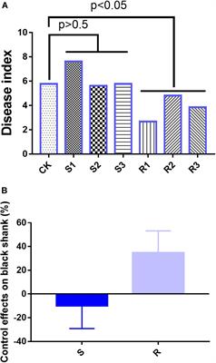 Effects of Cultured Root and Soil Microbial Communities on the Disease of Nicotiana tabacum Caused by Phytophthora nicotianae